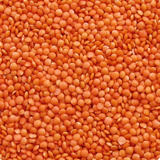 Biggest Pulses Supplier & Best Pulses Supplier | Chokadi Brokers